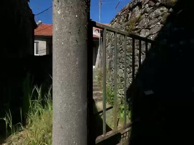 No Flash found
